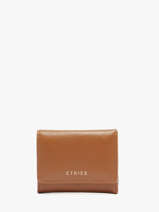 Porte-monnaie S Tradition Cuir Etrier Marron tradition ETRA095S